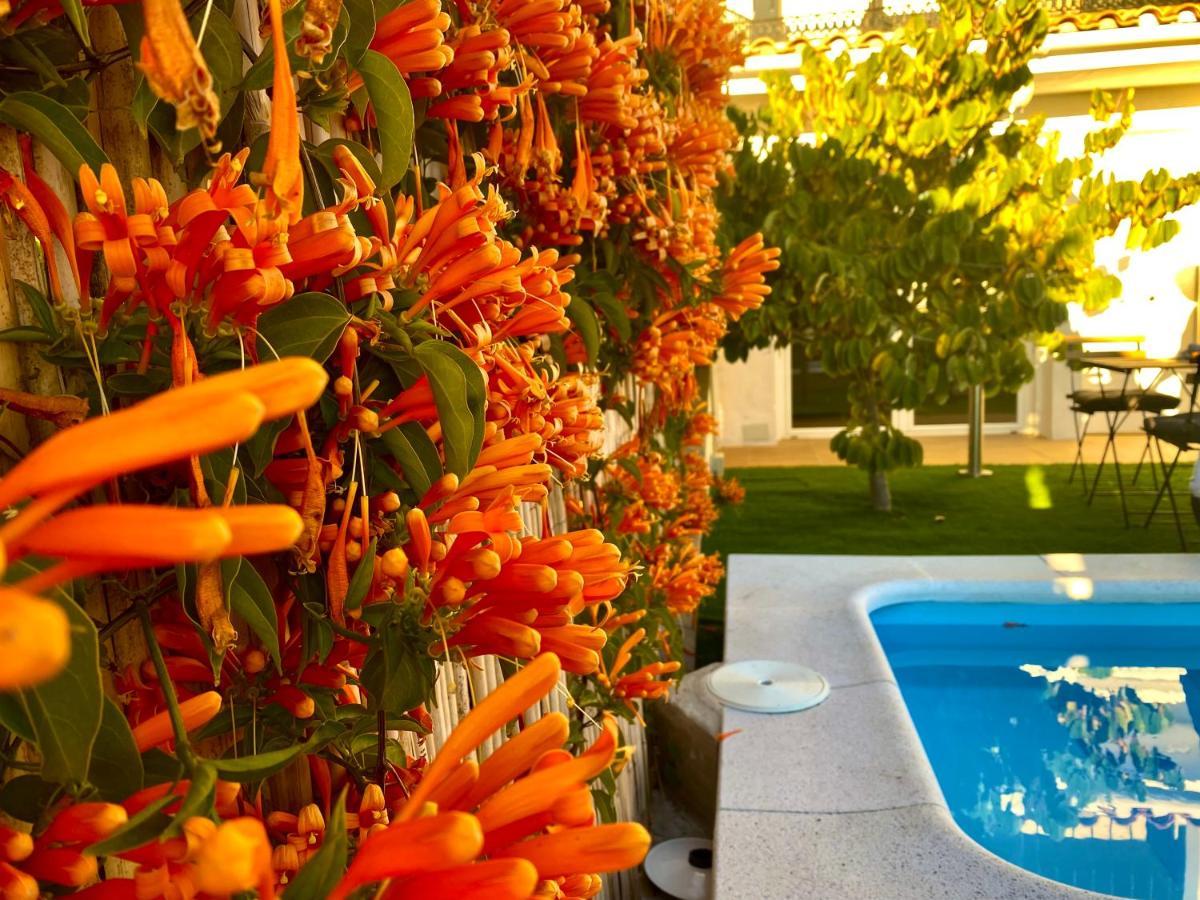 Suite Breeze - Private Heated Pool 马拉加 外观 照片